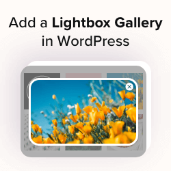 Read more about the article Como adicionar uma galeria no WordPress com um efeito Lightbox
