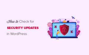 Read more about the article Como verificar as atualizações de segurança do WordPress (guia para iniciantes)