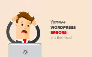 Read more about the article 50 erros mais comuns do WordPress e como corrigi-los