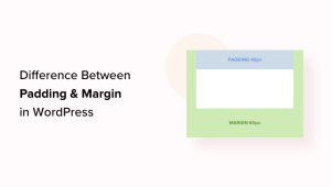 Read more about the article Padding vs Margin – Qual é a diferença no WordPress?