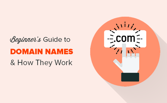 Read more about the article Guia para iniciantes: O que é um nome de domínio e como os domínios funcionam?