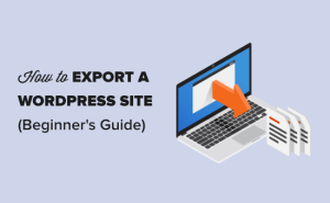 Read more about the article Como exportar um site WordPress (guia para iniciantes)