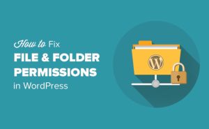 Read more about the article Como corrigir o erro de permissões de arquivos e pastas no WordPress