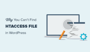 Read more about the article Por que o senhor não consegue encontrar o arquivo .htaccess no seu site WordPress