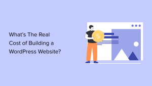 Read more about the article Quanto custa realmente construir um site WordPress?