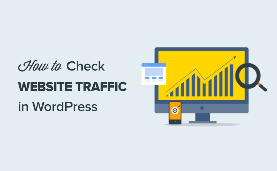 Read more about the article Como verificar o tráfego de qualquer site (7 melhores ferramentas)