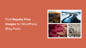 Read more about the article Como encontrar imagens livres de direitos autorais para suas postagens no blog do WordPress