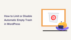 Read more about the article Como limitar ou desativar o esvaziamento automático da lixeira no WordPress