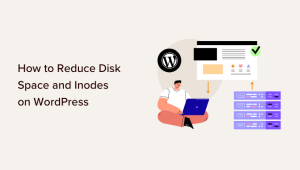 Read more about the article Como liberar espaço em disco e reduzir o uso de inode no WordPress