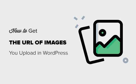 Read more about the article Como obter o URL das imagens carregadas no WordPress