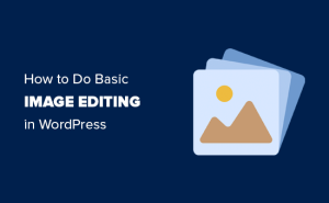 Read more about the article Como fazer a edição básica de imagens no WordPress (Cortar, girar, dimensionar, inverter)