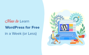 Read more about the article Como aprender os conceitos básicos do WordPress gratuitamente (passo a passo)