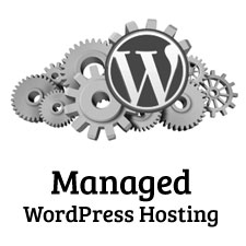 Read more about the article Quando o senhor realmente precisa de uma hospedagem gerenciada de WordPress?