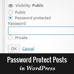 You are currently viewing Como proteger uma página ou postagem com senha no WordPress