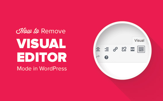 Read more about the article Como remover o modo de editor visual no WordPress