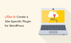 Read more about the article O que, por que e como fazer para criar um plug-in WordPress específico do site