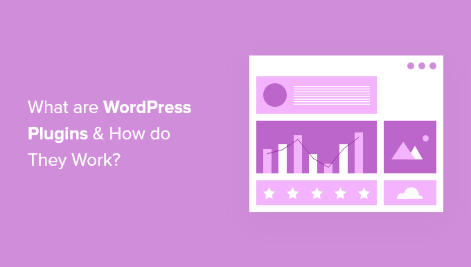Read more about the article O que são plug-ins do WordPress? E como eles funcionam?