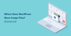 Read more about the article Onde o WordPress armazena as imagens em seu site?