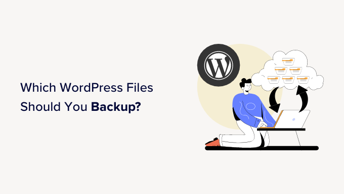 Read more about the article De quais arquivos do WordPress o senhor deve fazer backup? (+ Como fazer isso)