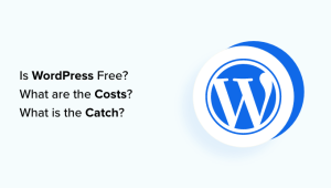 Read more about the article Por que o WordPress é gratuito? Quais são os custos? Qual é a desvantagem?