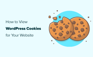 Read more about the article Como saber se seu site WordPress usa cookies