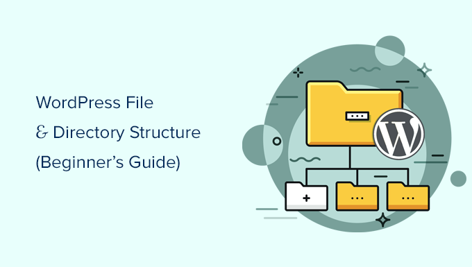 Read more about the article Guia para iniciantes sobre a estrutura de arquivos e diretórios do WordPress