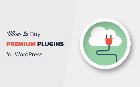 Read more about the article Quando vale a pena comprar plug-ins premium para WordPress? (Explicado)