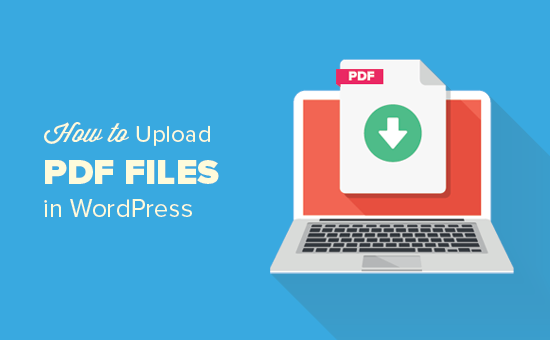 Read more about the article Como fazer upload de arquivos PDF para seu site WordPress